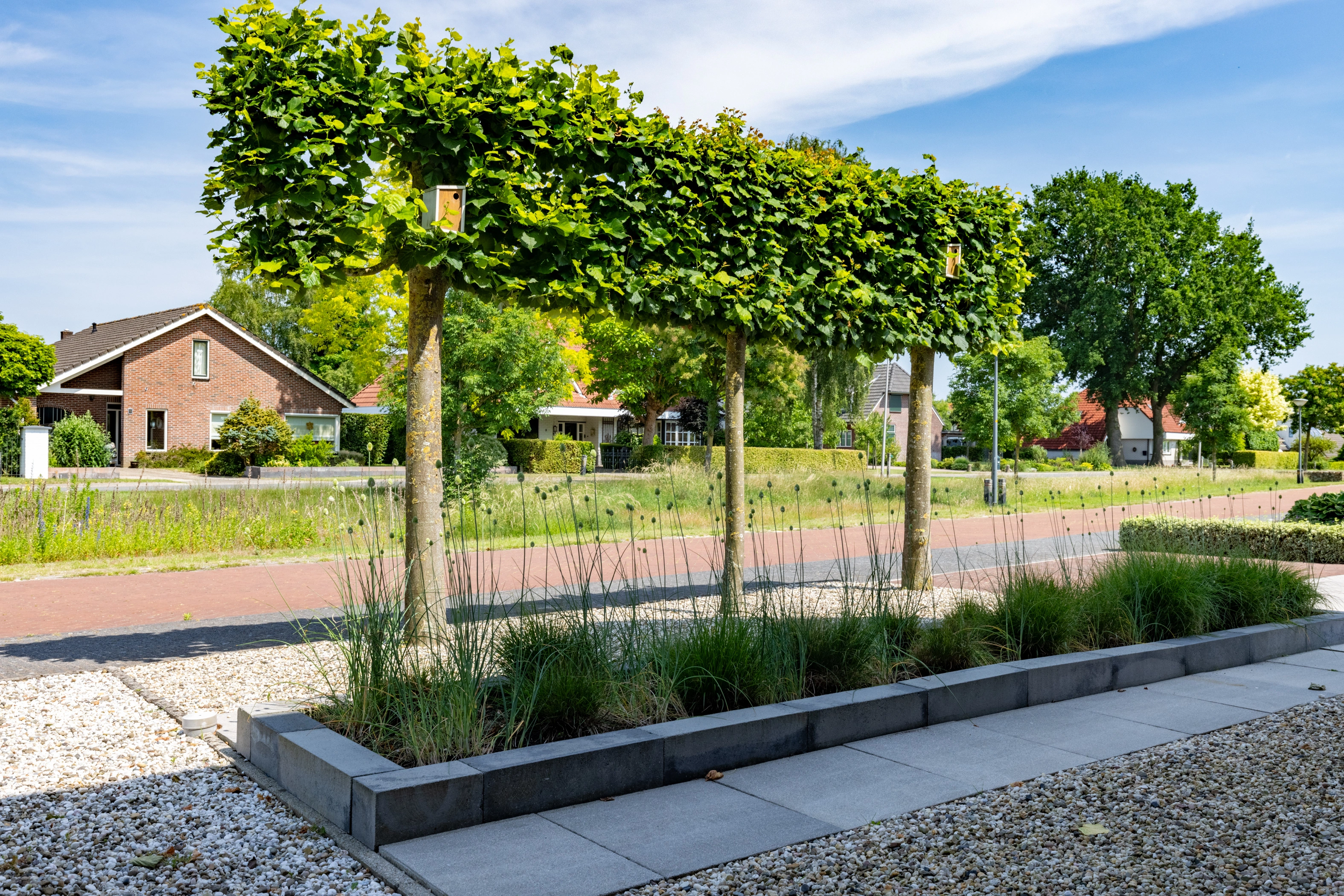 HOLTEN - Atalanta 9