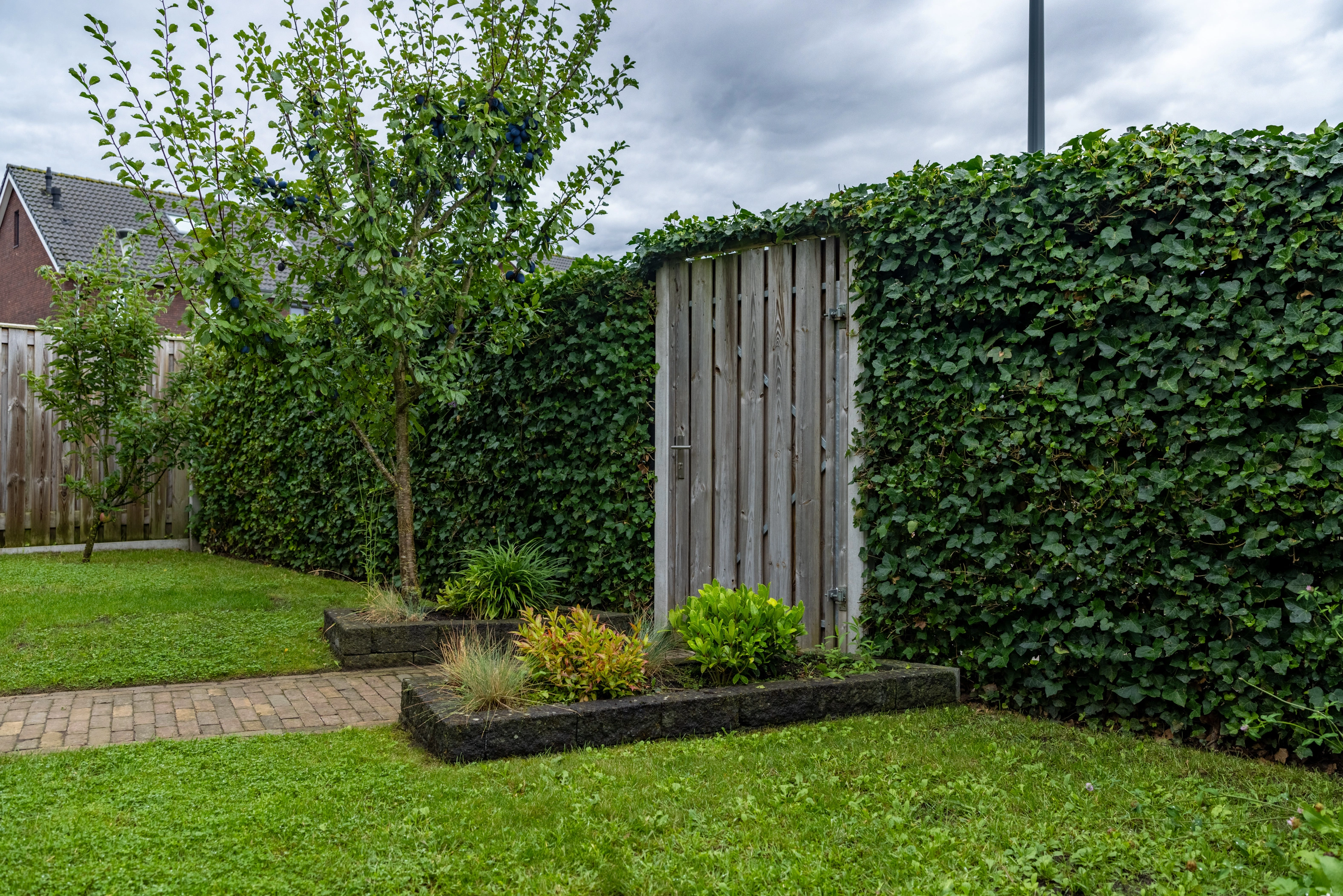 HOLTEN - Ploeg 12