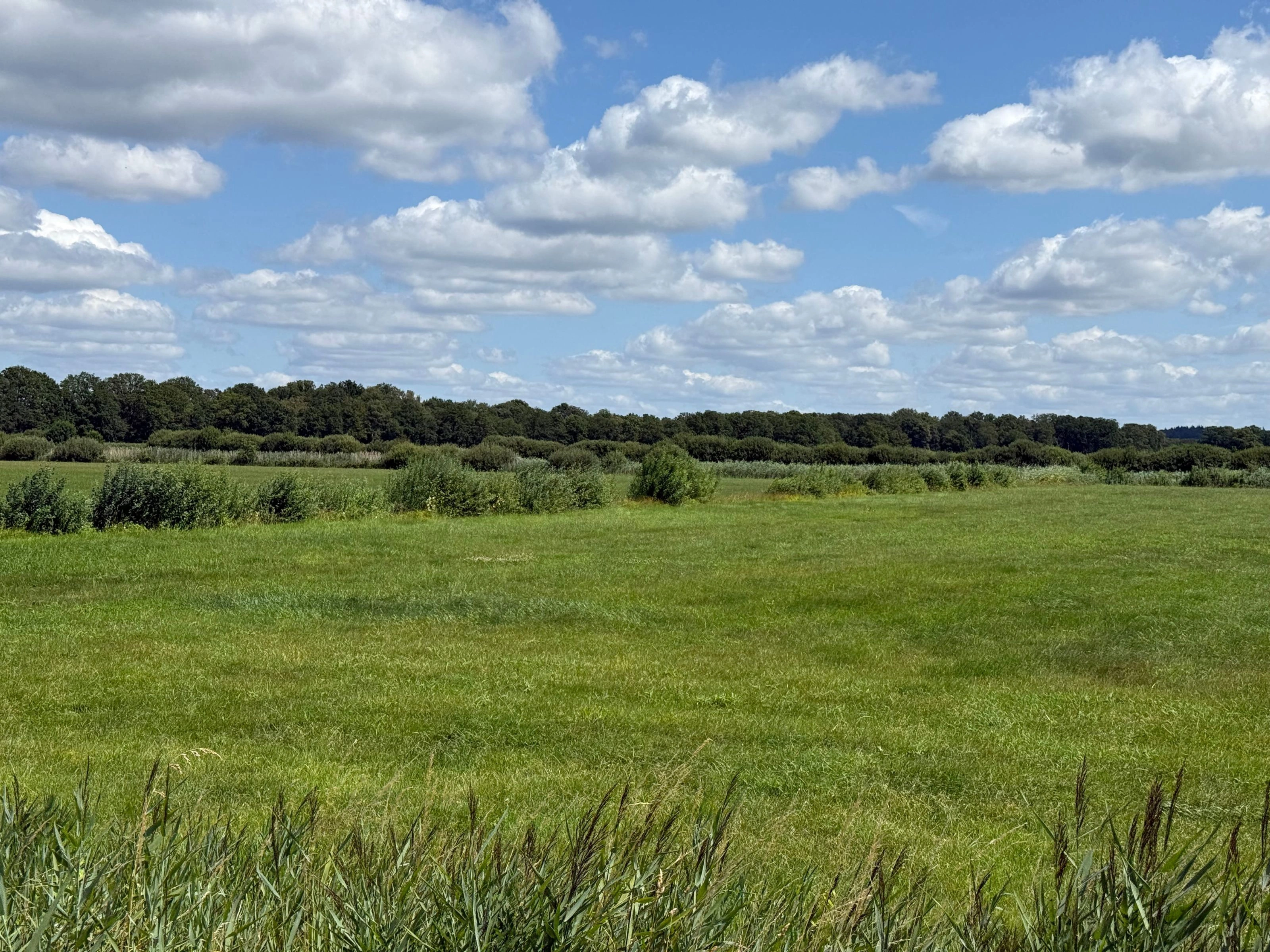 HOLTEN - Maneschijnsweg 2Ong