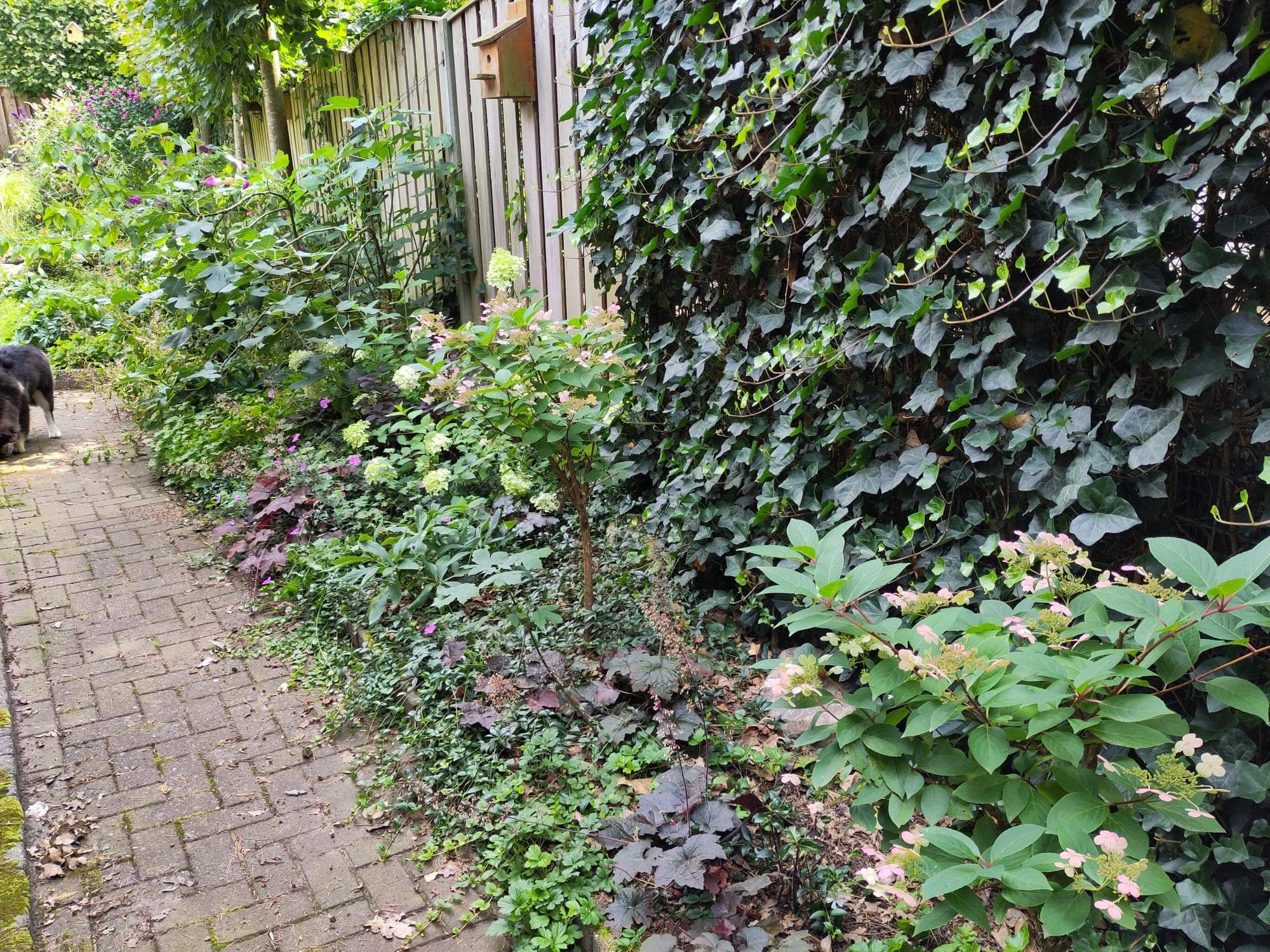 HOLTEN - Burgemeester van de Borchstraat 39