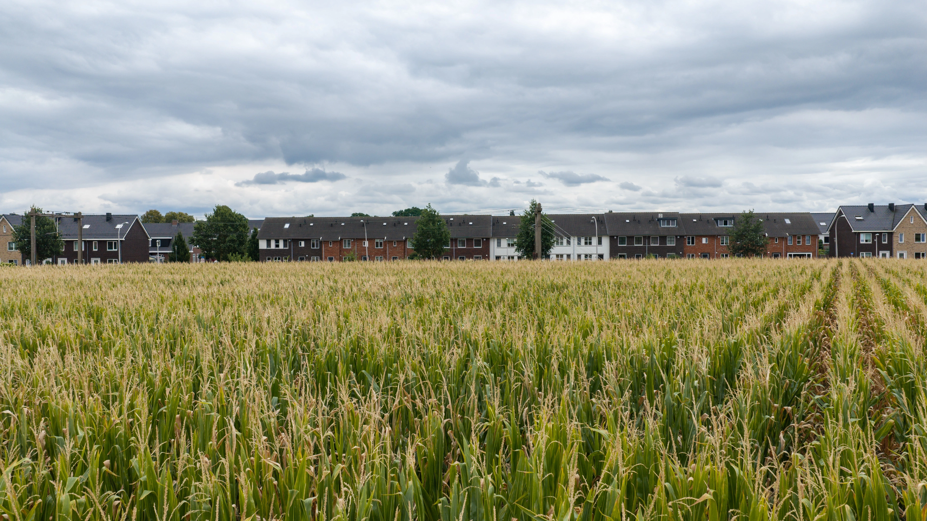 HOLTEN - Drostenstraat 43A
