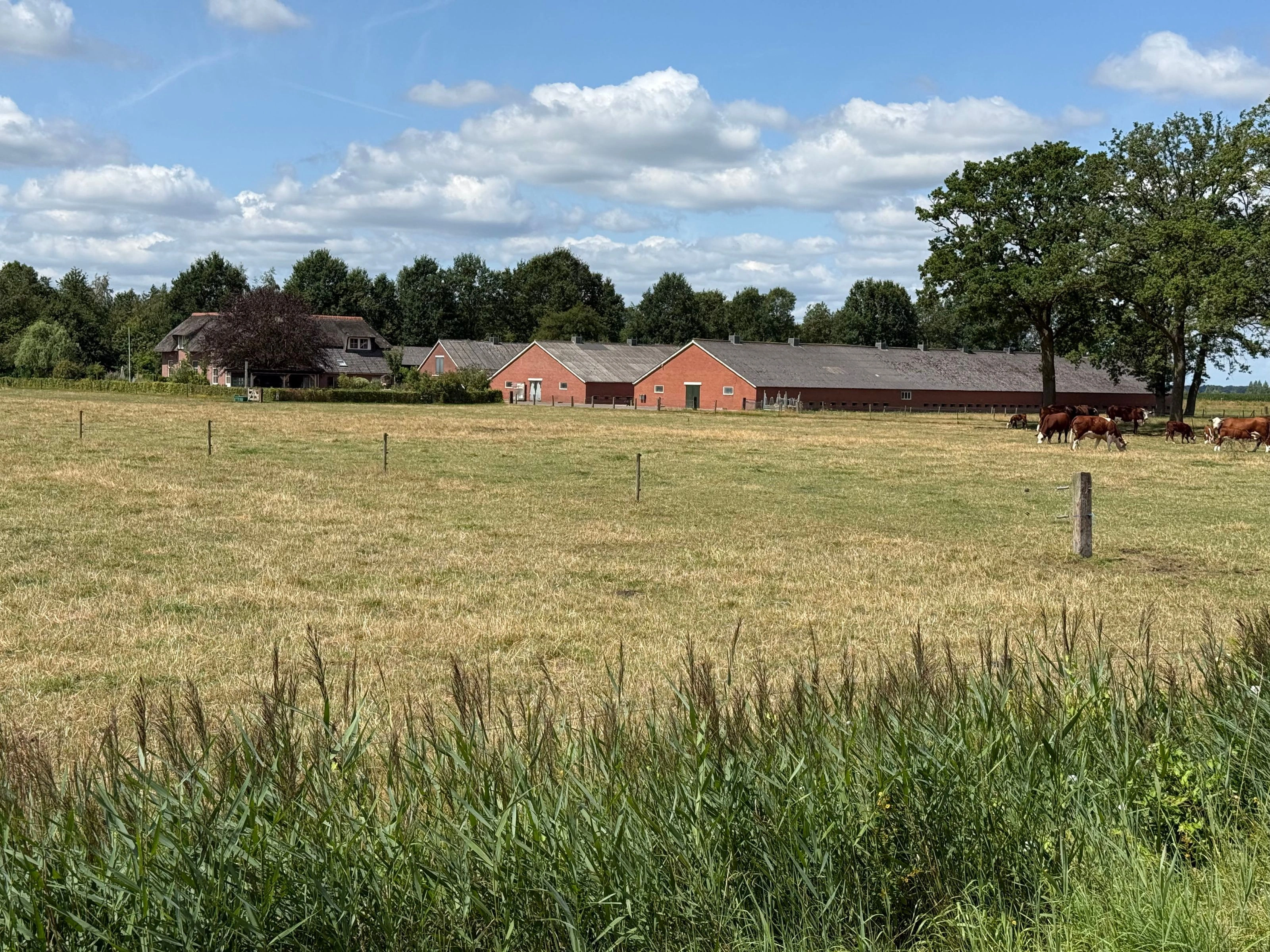 HOLTEN - Maneschijnsweg 2Ong