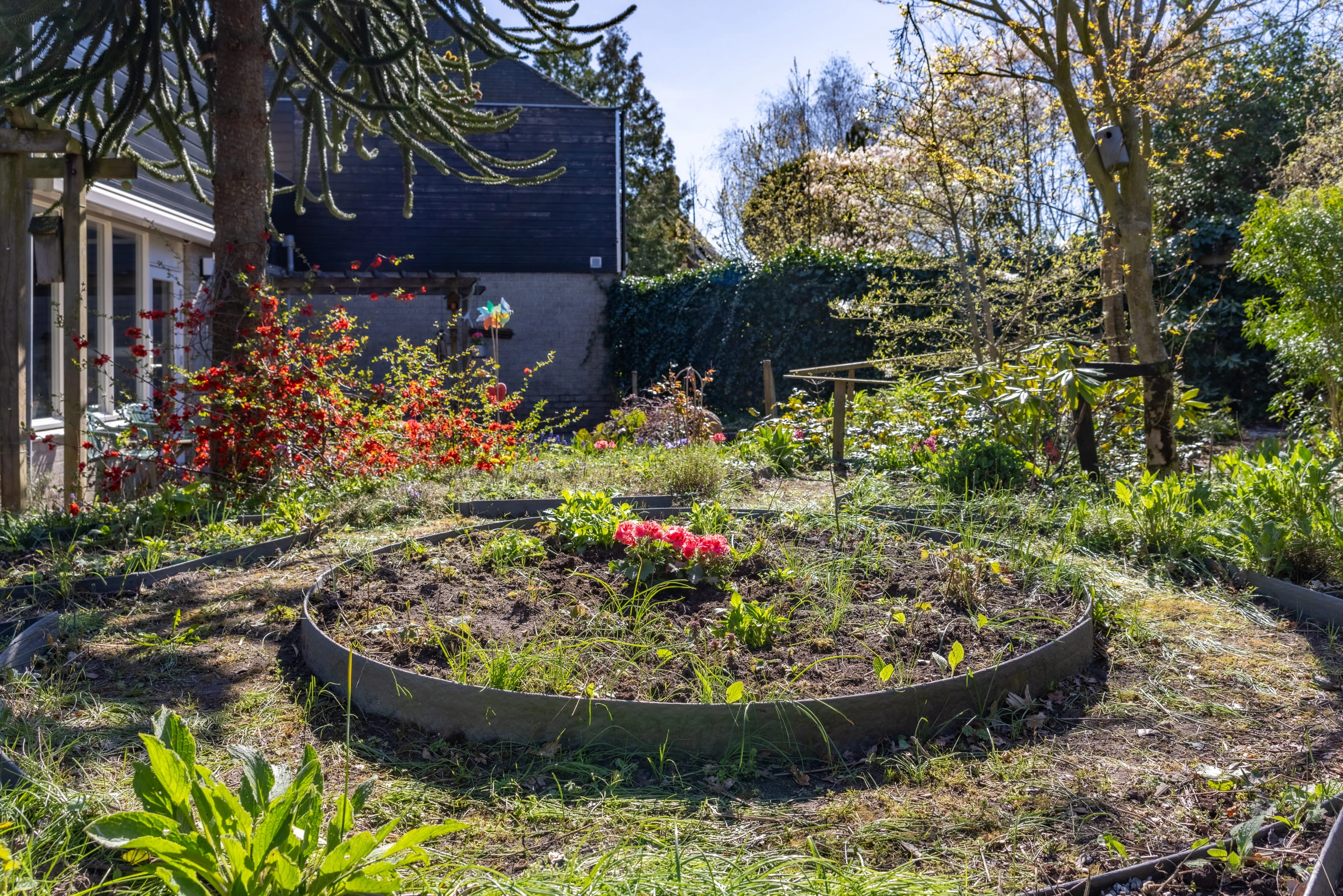 HOLTEN - Looikolkstraat  4