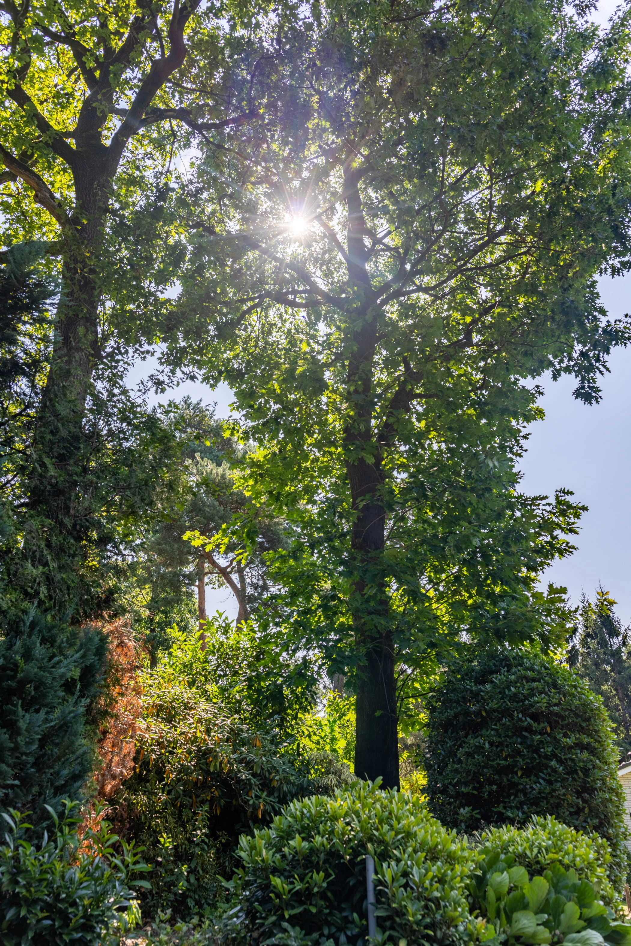HOLTEN - Heideweg 60