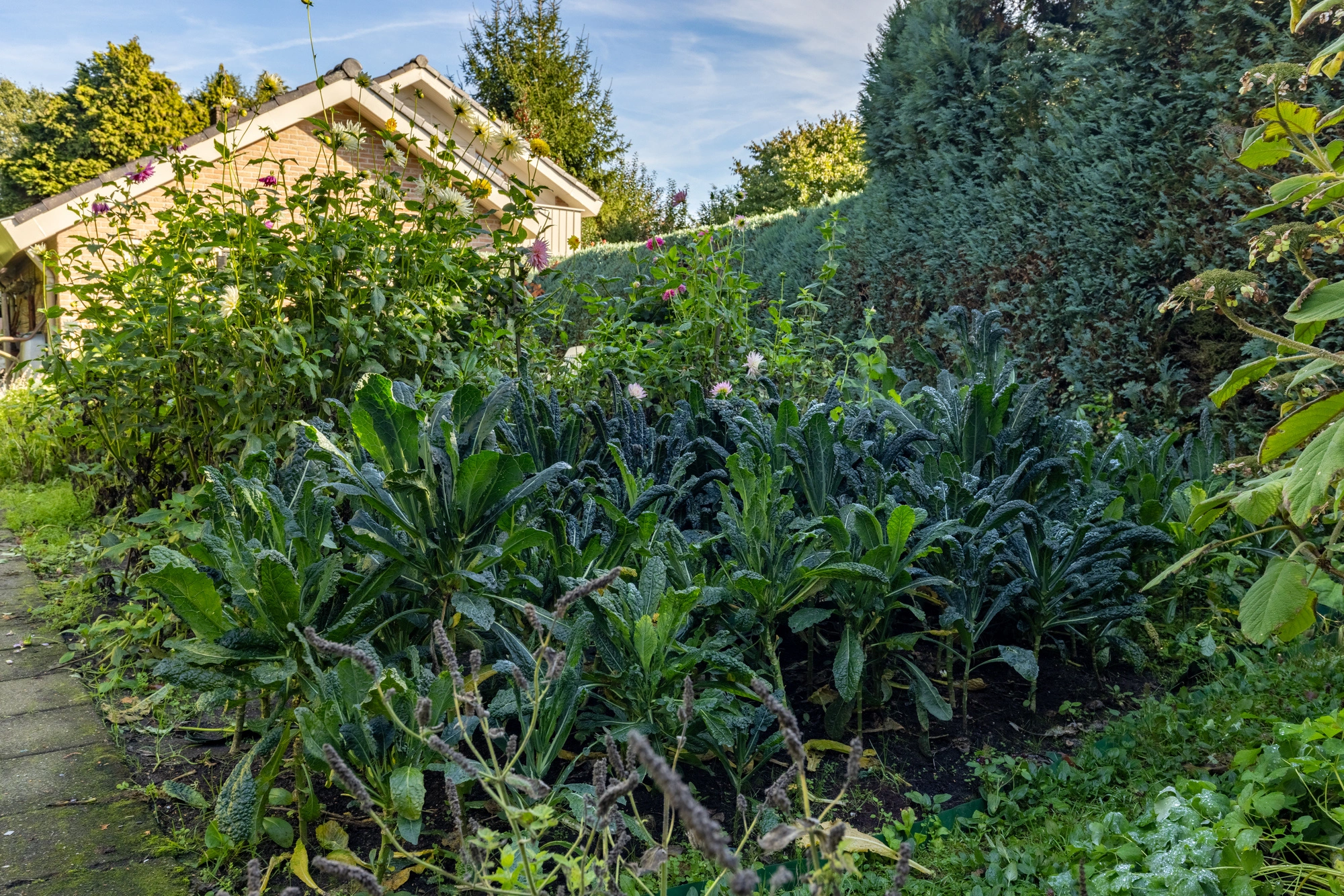 HOLTEN - Dikkesteenweg 4