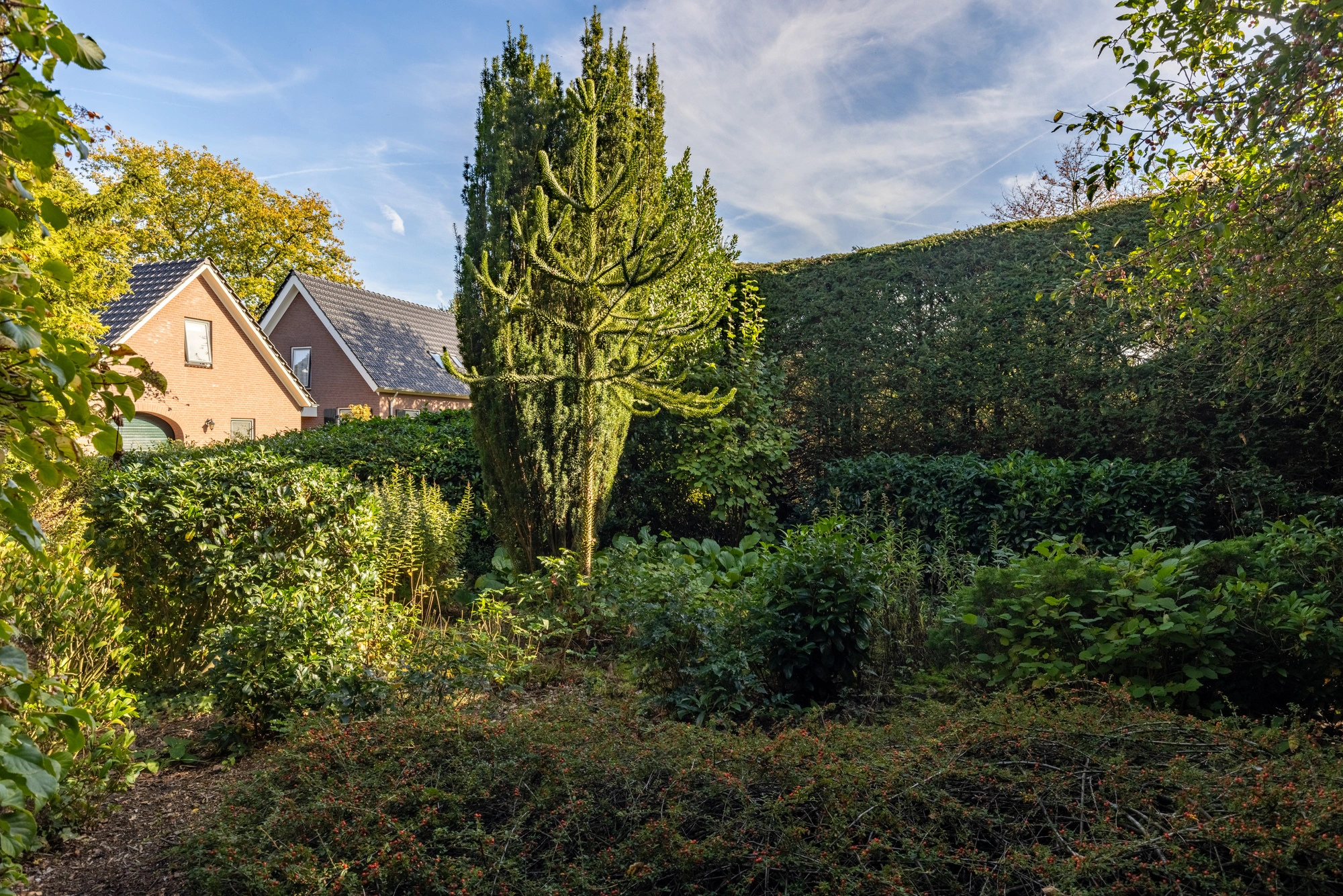 HOLTEN - Dikkesteenweg 4