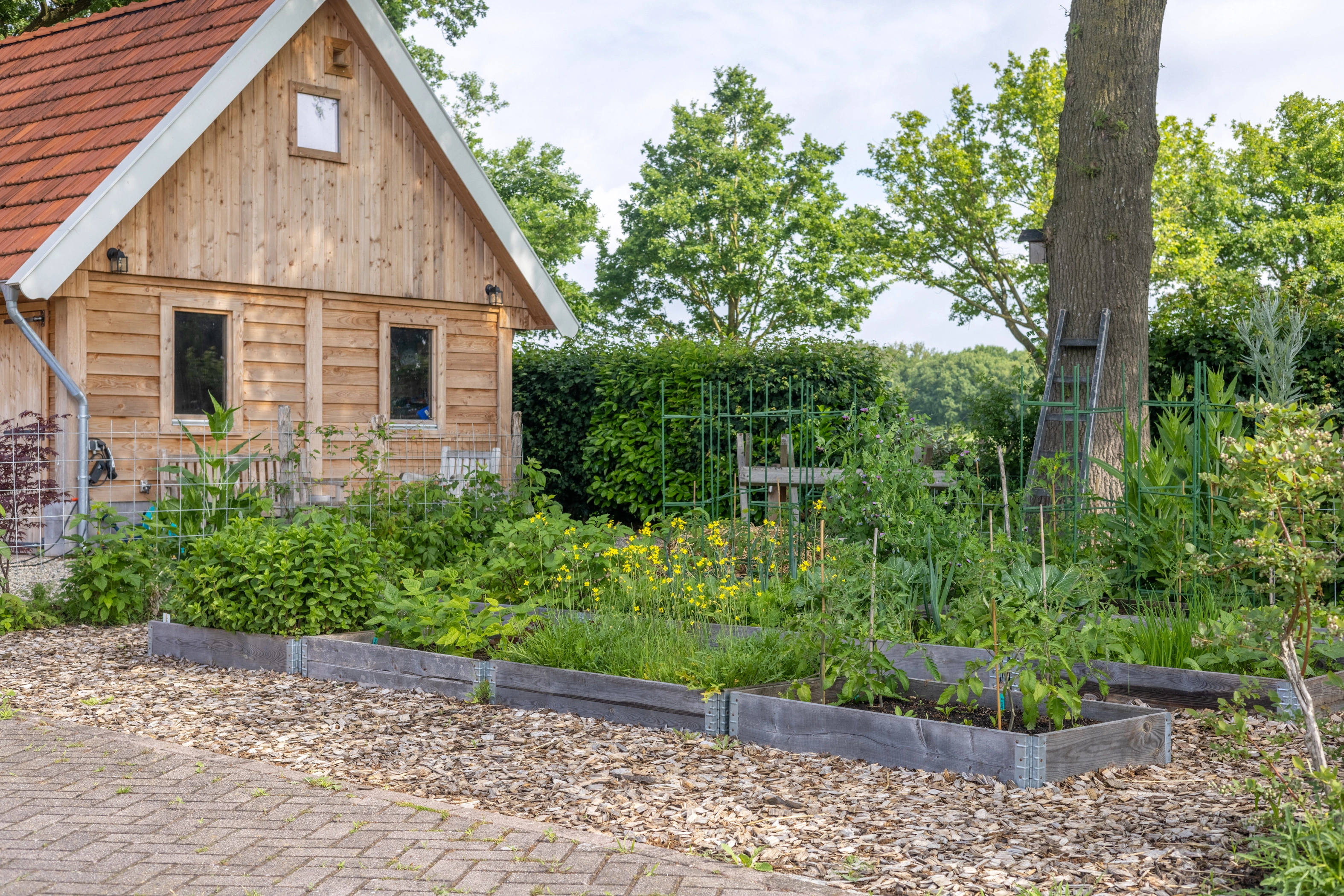 MARKELO - Roudaalterweg 11